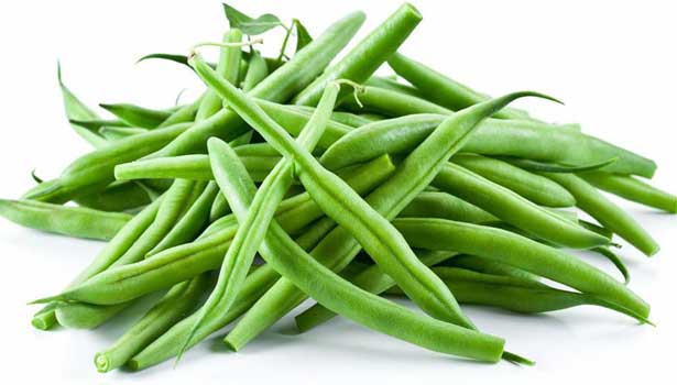 201703121211014373_green-beans-are-rich-in-various-medicinal-properties_SECVPF